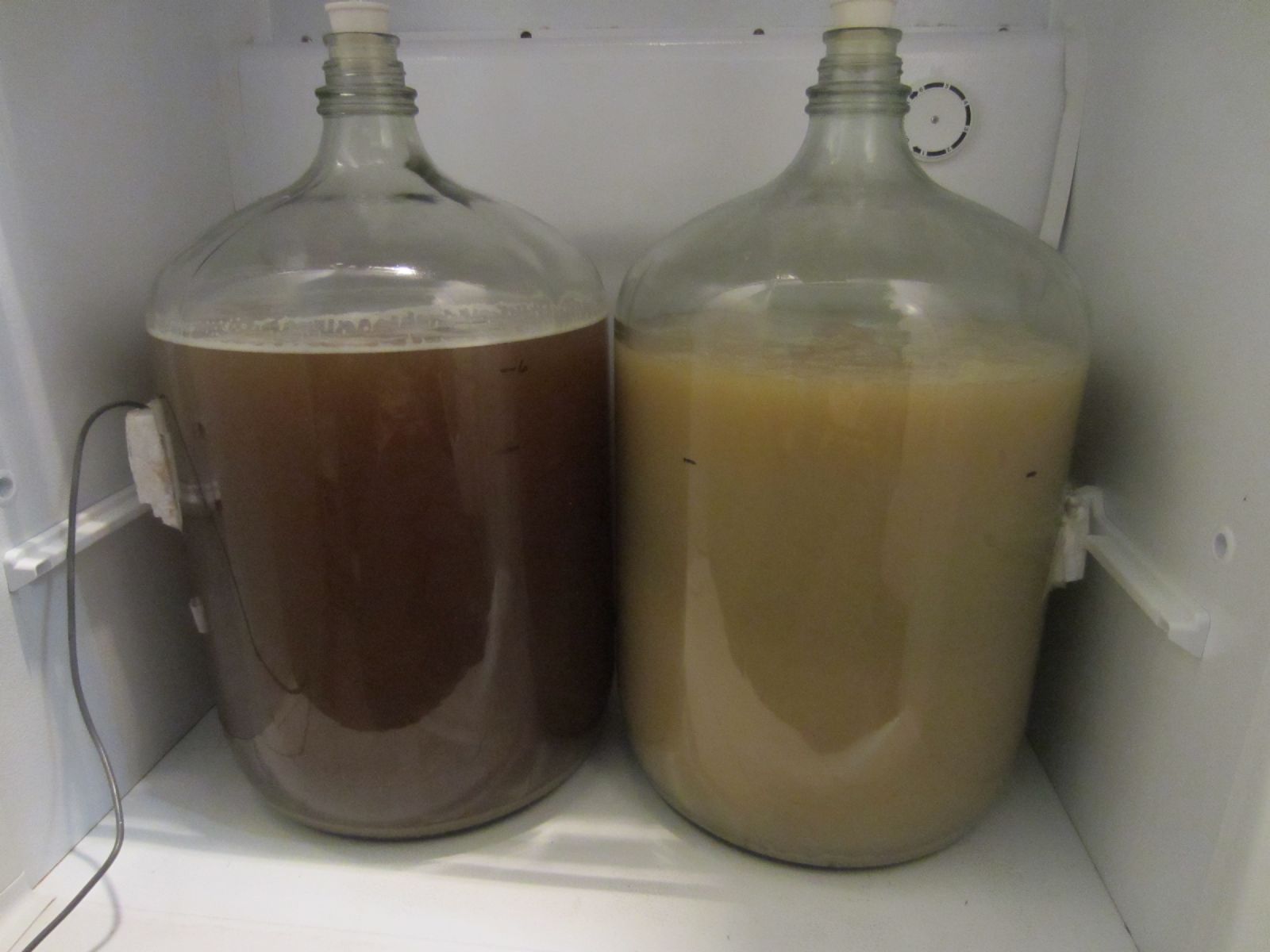 Clarified Wort Before and After