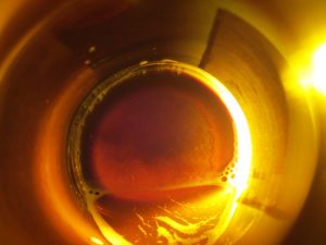 Yeast Sediment Layer Inside a Beer Bottle