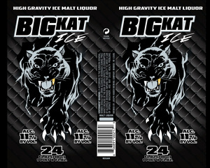 Bigkat January 2013