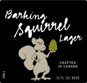 Barking Squirrel 