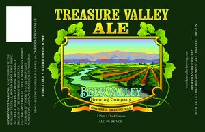 Treasure Valley Ale 