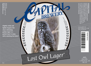 Capital Lost Owl