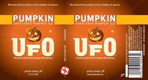 Ufo Pumpkin