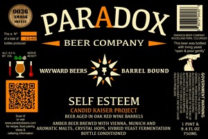 Paradox Beer Company Inc Self Esteem