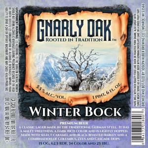 Gnarly Oak Winter