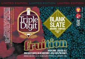 Blank Slate Brewing Company Fruition