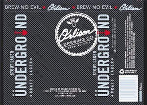 Underground Craft Lager November 2013