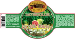 Cigar City Brewing Guava Grove