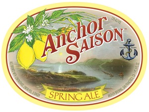 Anchor Spring Ale December 2013