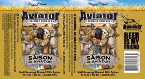 Aviator Brewing Company Saison De Aviator January 2014