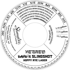 He'brew David's Slingshot January 2014