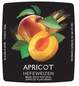 Wasatch Apricot Hefeweizen January 2014