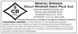 Bristol Springs Gully Washer 