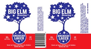 Big Elm Brewing American