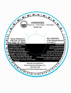 Fannin Brewing Company Hiawassee
