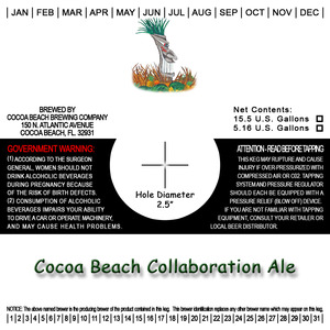 Cocoa Beach Collaboration May 2014