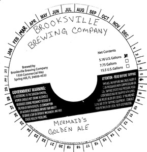 Brooksville Brewing Company Inc. Mermaid's Golden Ale