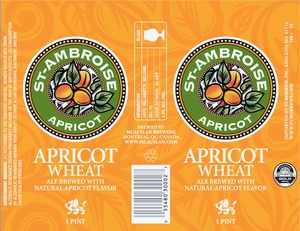 St Ambroise Apricot Wheat June 2014