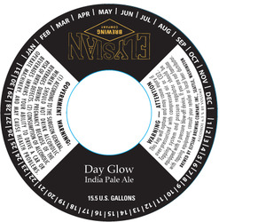 Elysian Brewing Company Day Glow