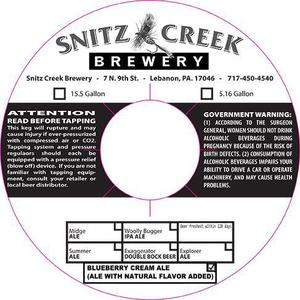 Snitz Creek Blueberry Cream Ale August 2014