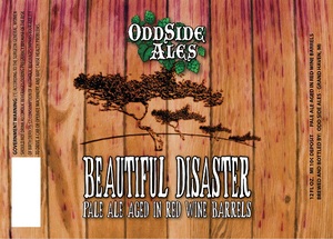 Odd Side Ales Beautiful Disaster