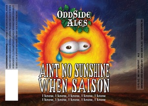 Odd Side Ales Aint No Sunshine When Saison August 2014