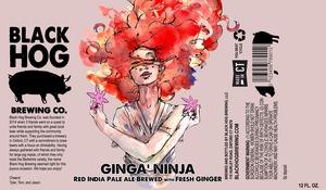 Ginga' Ninja September 2014