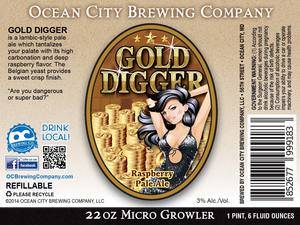 Gold Digger Raspberry Pale Ale 