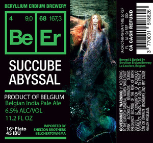 Beryllium Erbium Brewery Succube Abyssal October 2014