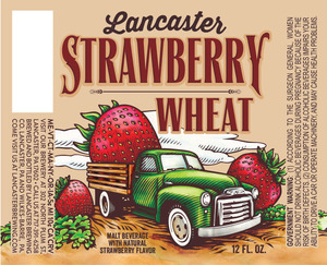 Lancaster Brewing Strawberry Wheat