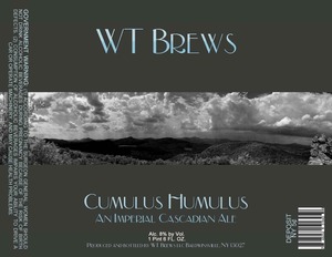 Wt Brews 