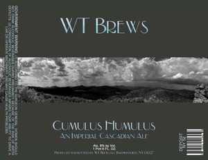 Wt Brews November 2014