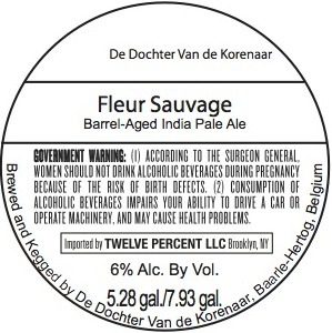 De Dochter Van De Korenaar Fleur Sauvage