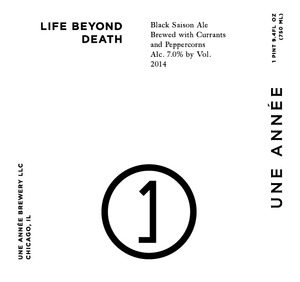 Une Annee Life Beyond Death December 2014