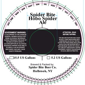 Spider Bite Hobo Spider January 2015