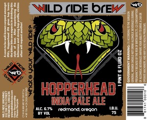 Wild Ride Brewing 