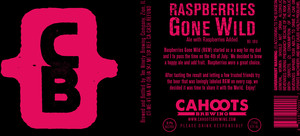 Cahoots Brewing Raspberries Gone Wild