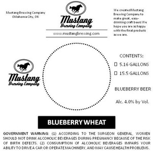 Mustang Brewing Comapny Blueberry Wheat February 2015