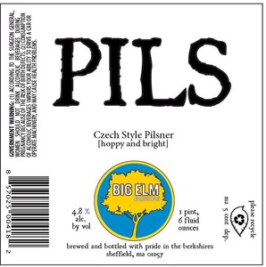 Big Elm Brewing Pils