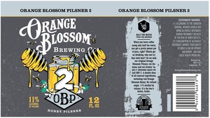 Orange Blossom Pilsner 2 