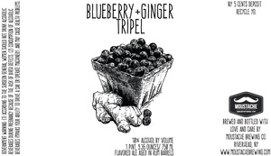 Moustache Brewing Co. Blueberry+ginger Tripel