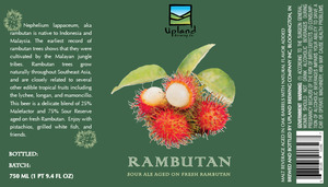 Upland Brewing Company Rambutan April 2015
