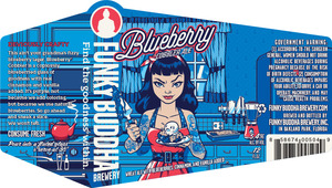 Blueberry Cobbler Ale 