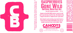 Cahoots Brewing Raspberries Gone Wild May 2015