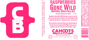 Cahoots Brewing Raspberries Gone Wild