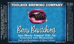 Toolbox Brewing Company Berry Bewitching May 2015