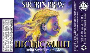 Short's Brew Electric Mullet May 2015