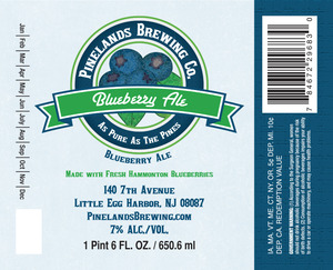 Blueberry Ale June 2015