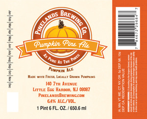 Pumpkin Pine Ale 