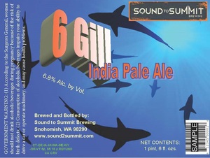 6 Gill India Pale Ale 